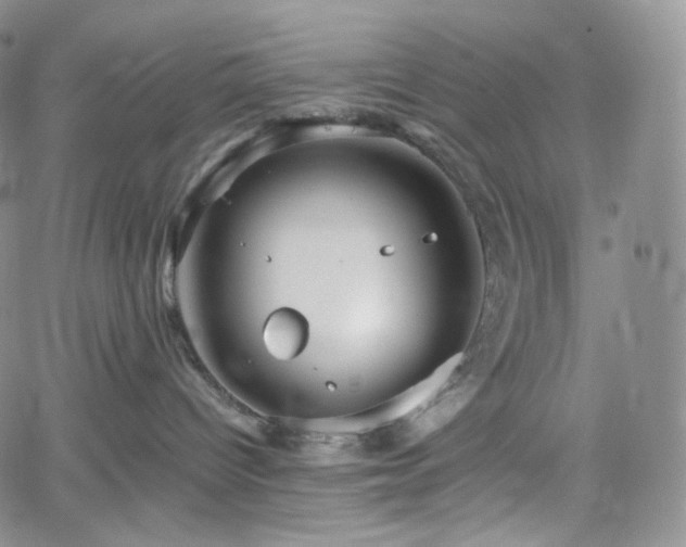 X0000062170096200512091441