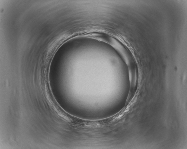 X0000062170097200512091440