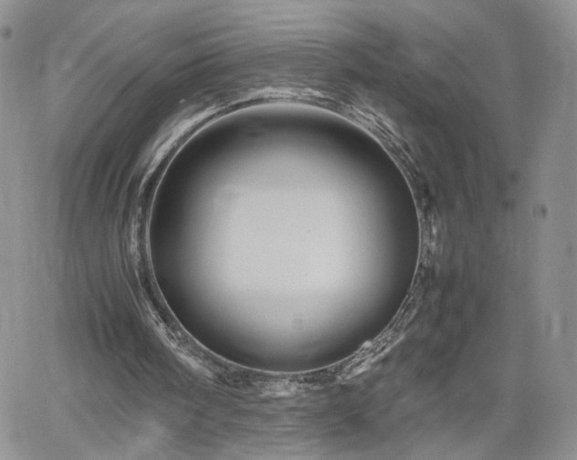 X0000062170098200512091440