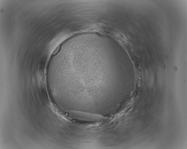 X0000062170100200512091440