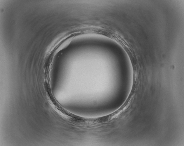 X0000062170101200512091440