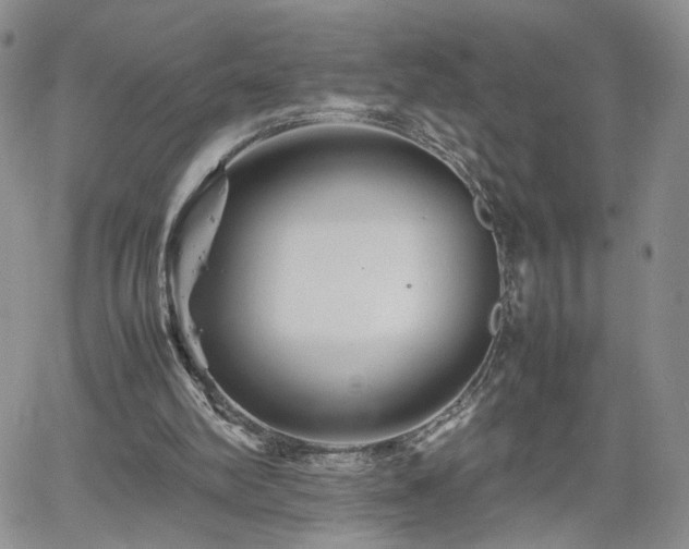 X0000062170102200512091440