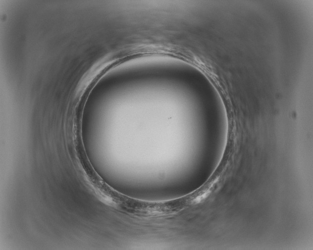 X0000062170103200512091440