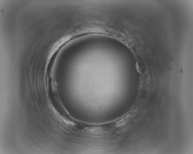 X0000062170104200512091440