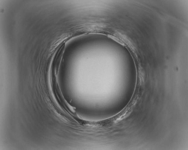 X0000062170105200512091440