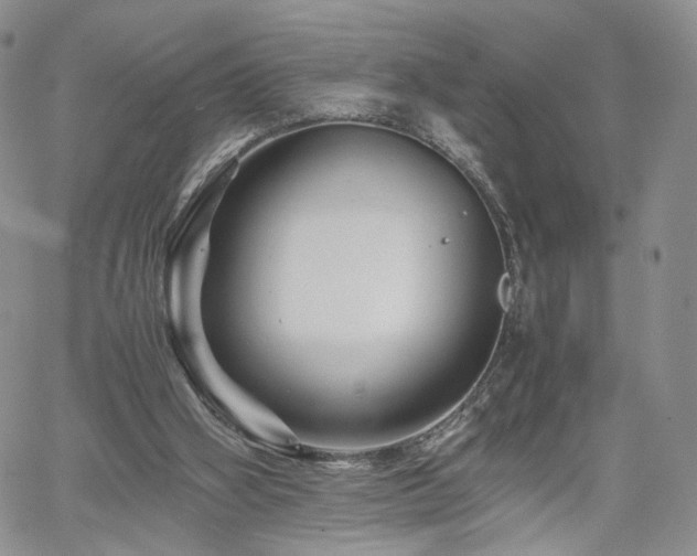 X0000062170106200512091440