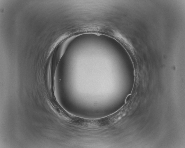 X0000062170107200512091440