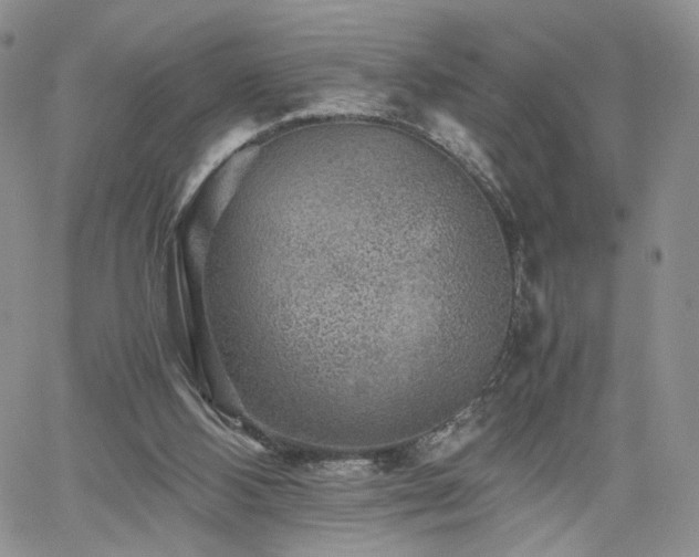 X0000062170108200512091440