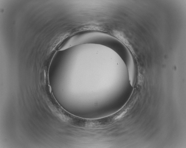 X0000062170109200512091440