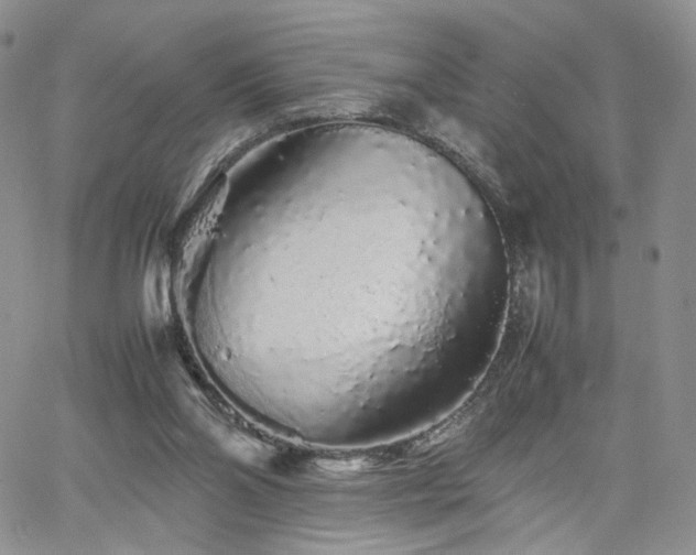 X0000062170110200512091440