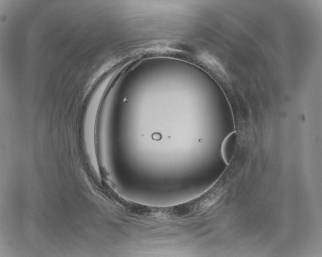 X0000062170111200512091440