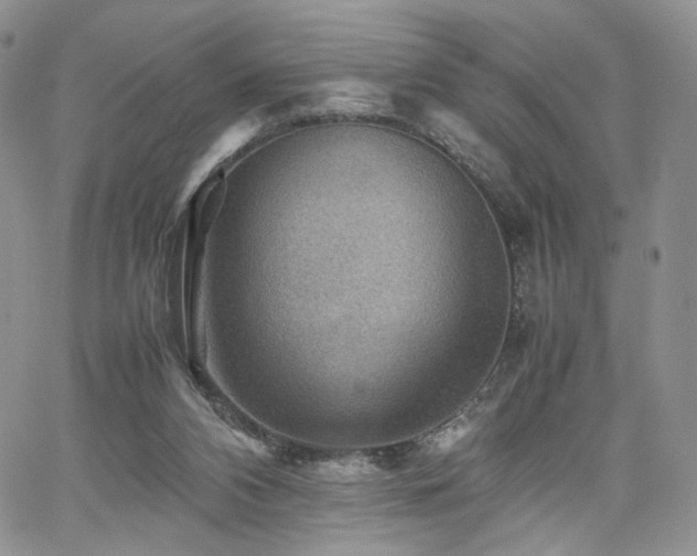 X0000062170112200512091440