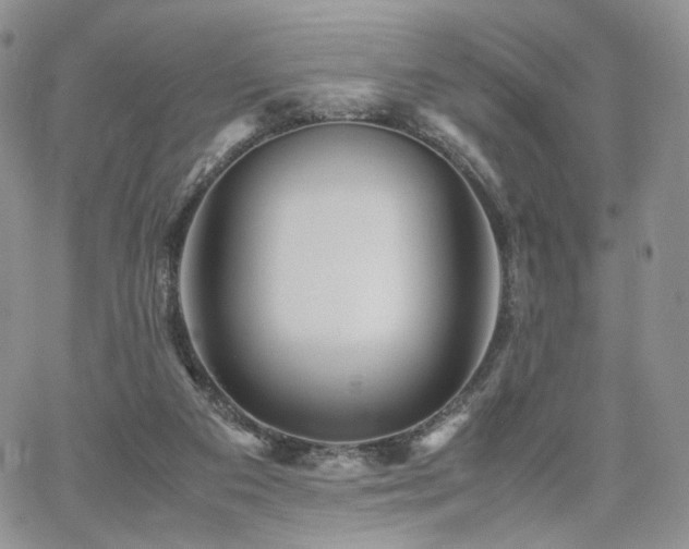 X0000062170113200512091440