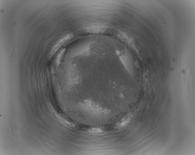 X0000062170114200512091440