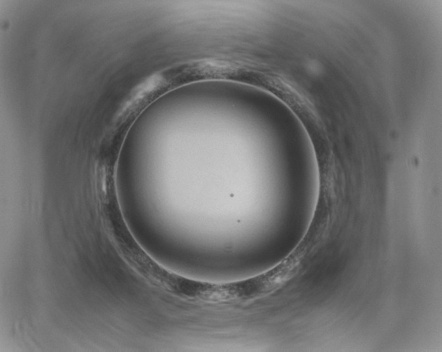 X0000062170115200512091440