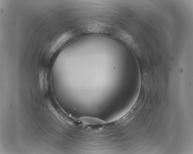 X0000062170116200512091440