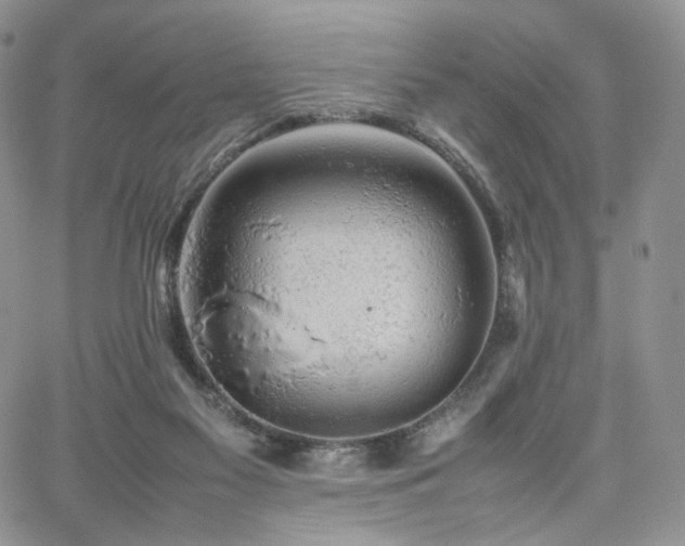 X0000062170117200512091440