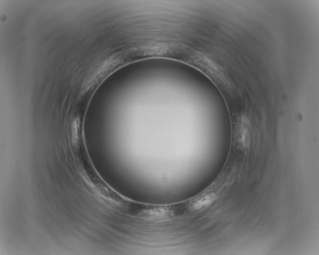 X0000062170118200512091440