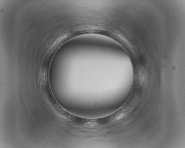 X0000062170119200512091440