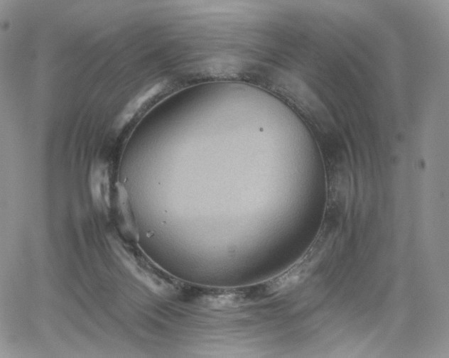 X0000062170120200512091440