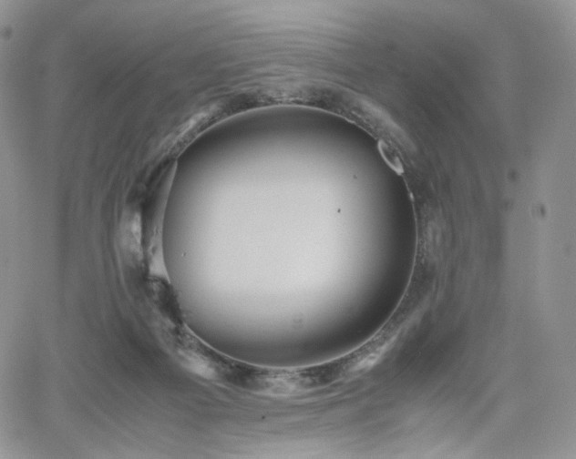 X0000062170121200512091440