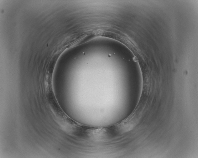 X0000062170122200512091440