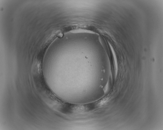 X0000062170123200512091440