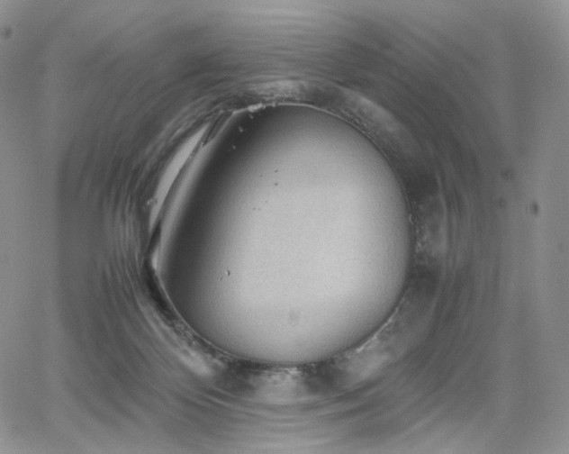 X0000062170124200512091440