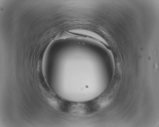 X0000062170125200512091440