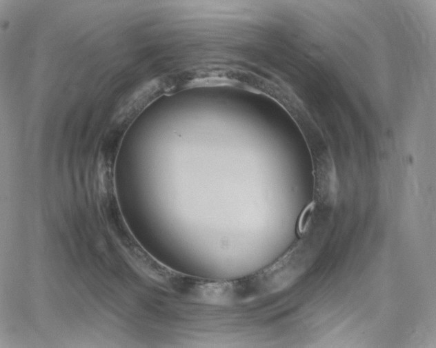 X0000062170126200512091440