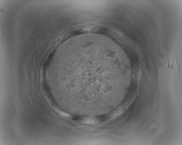 X0000062170127200512091440