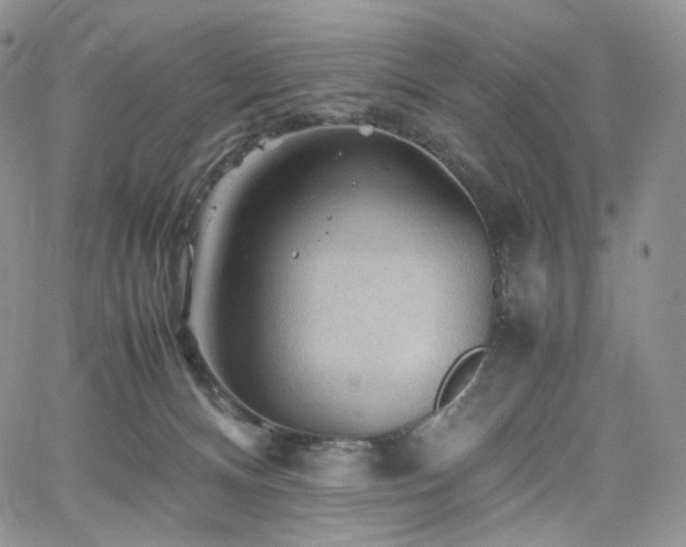 X0000062170128200512091440