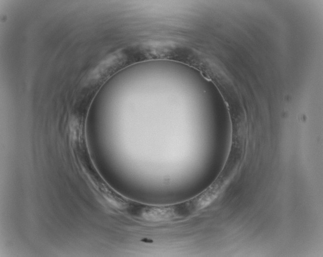 X0000062170129200512091440