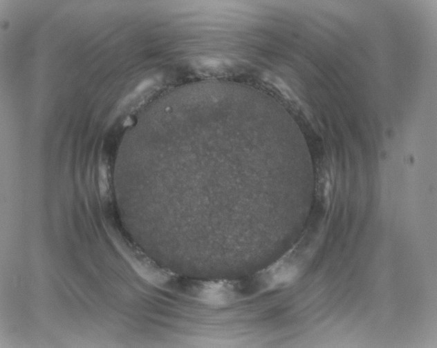 X0000062170130200512091440