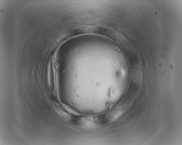 X0000062170131200512091440