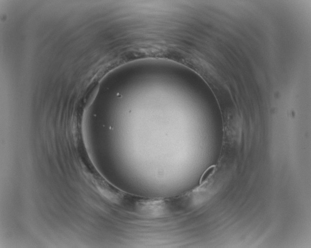 X0000062170132200512091440