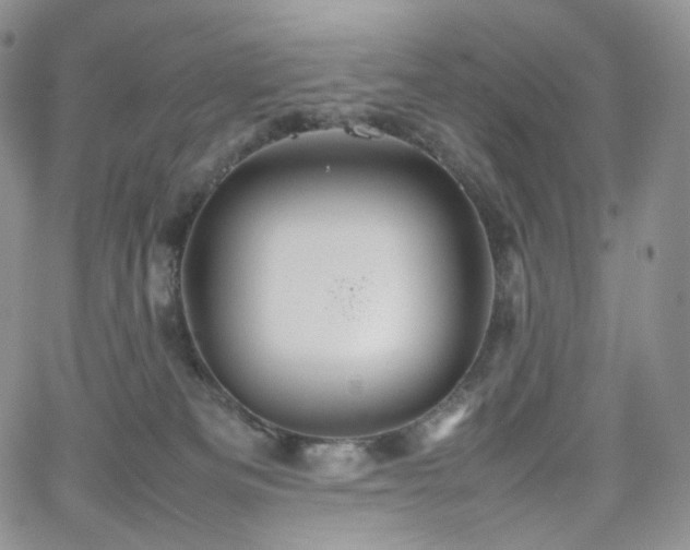 X0000062170133200512091440