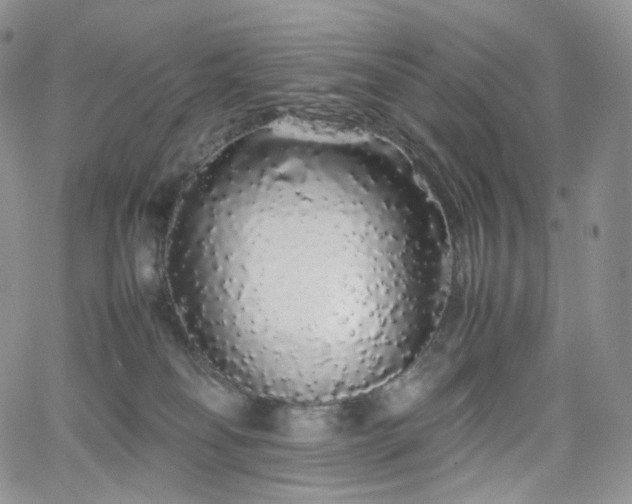 X0000062170134200512091440