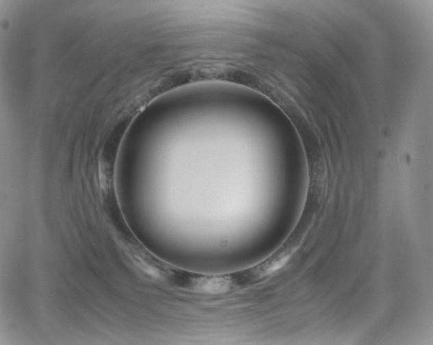 X0000062170135200512091440