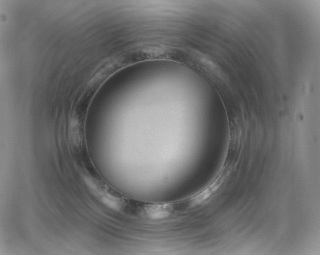 X0000062170136200512091440