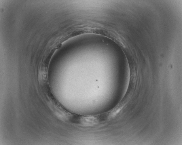 X0000062170137200512091440