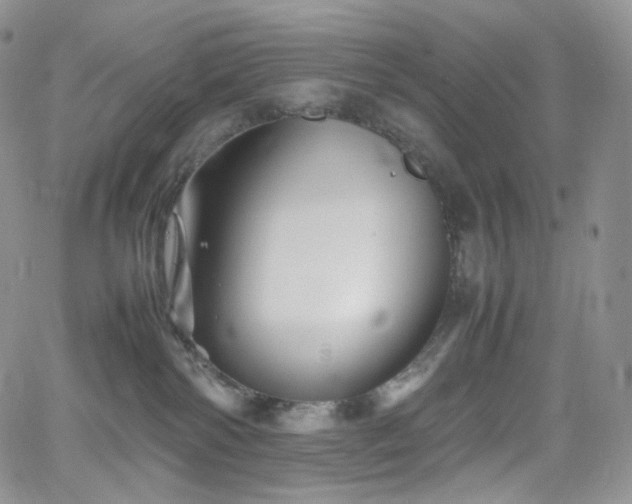 X0000062170138200512091440