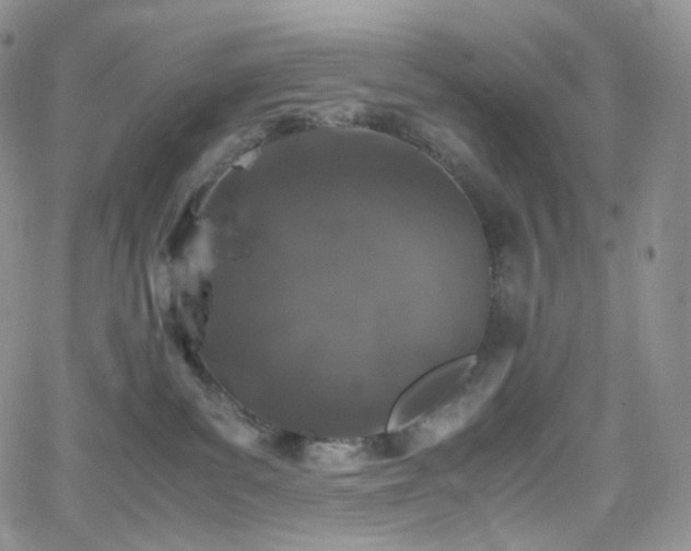 X0000062170139200512091440