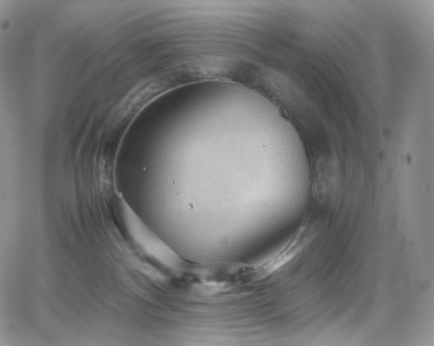 X0000062170140200512091440