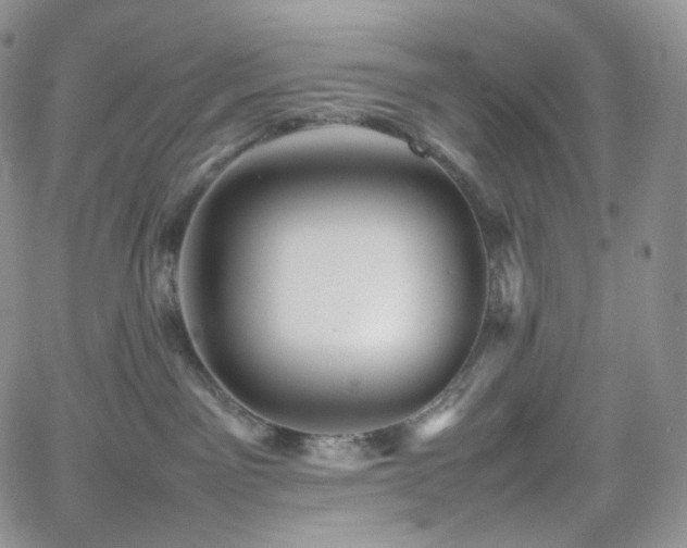 X0000062170141200512091440