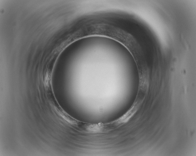 X0000062170142200512091440