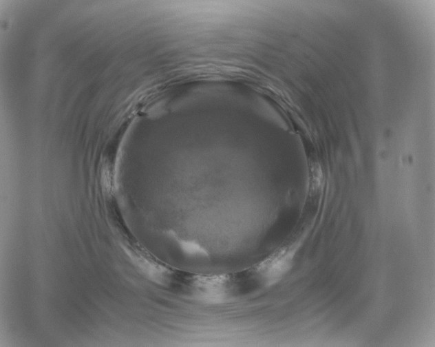 X0000062170143200512091440