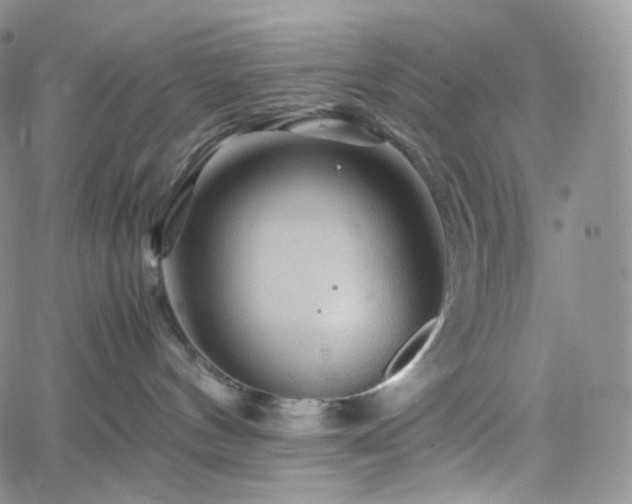 X0000062170144200512091440