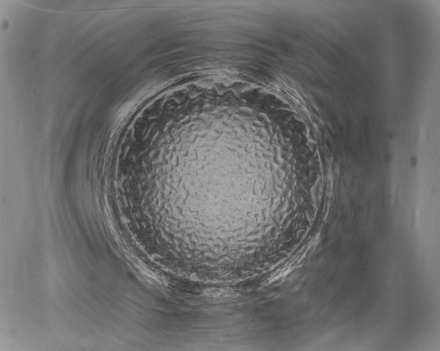 X0000062170145200512091439