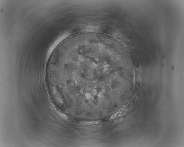 X0000062170147200512091439